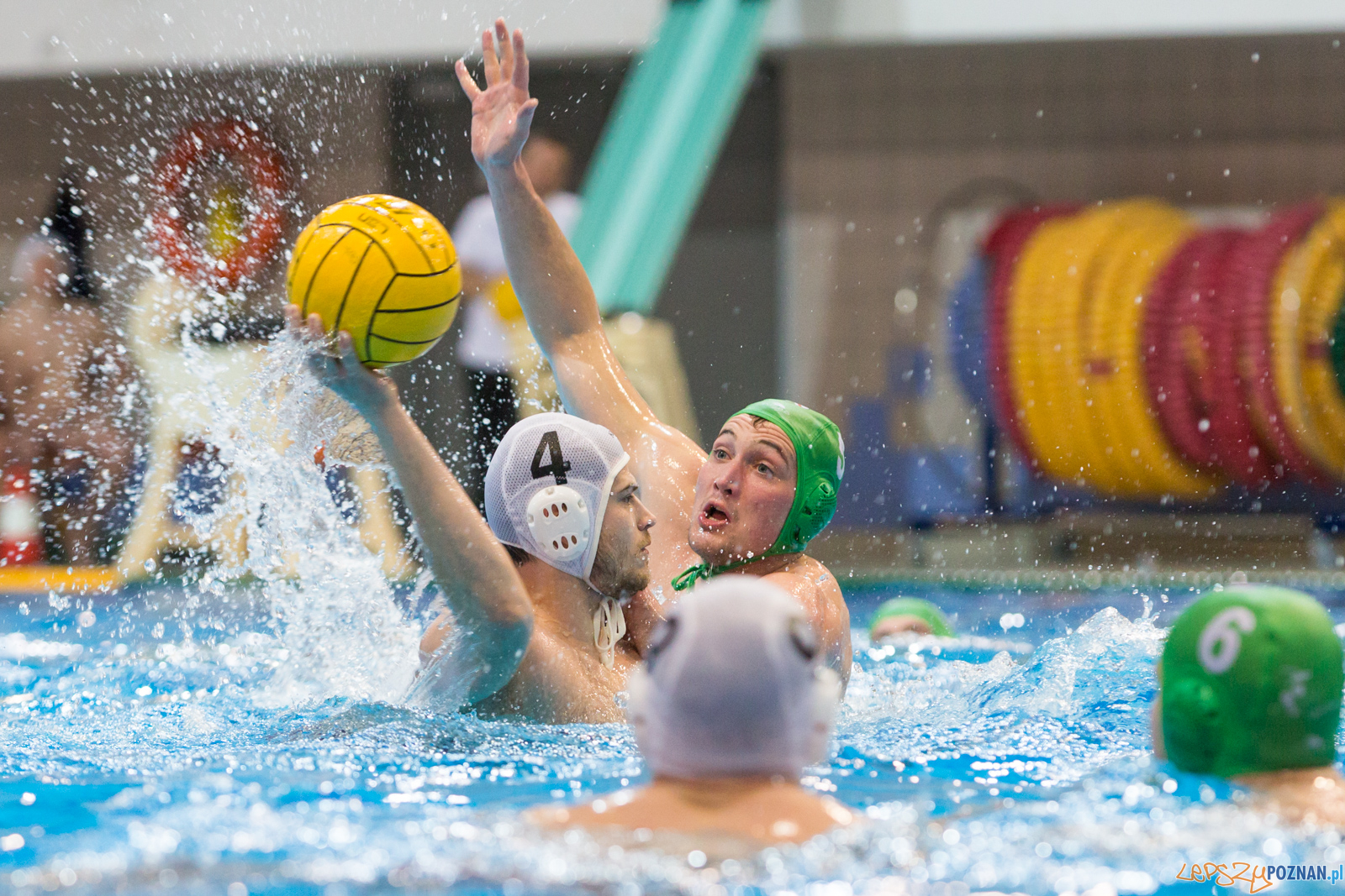 lepszy-24_03_2018_waterpolo_legia-1031  Foto: lepszyPOZNAN.pl/Piotr Rychter