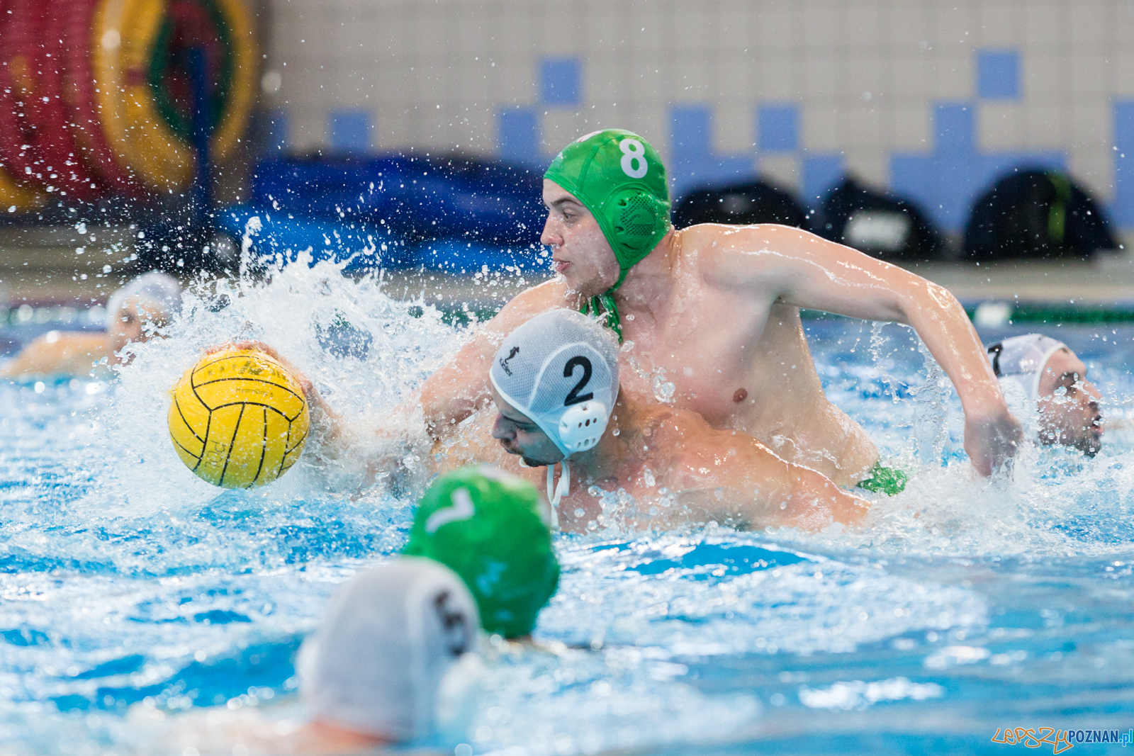 KS Waterpolo Poznań - Legia Warszawa  Foto: lepszyPOZNAN.pl/Piotr Rychter