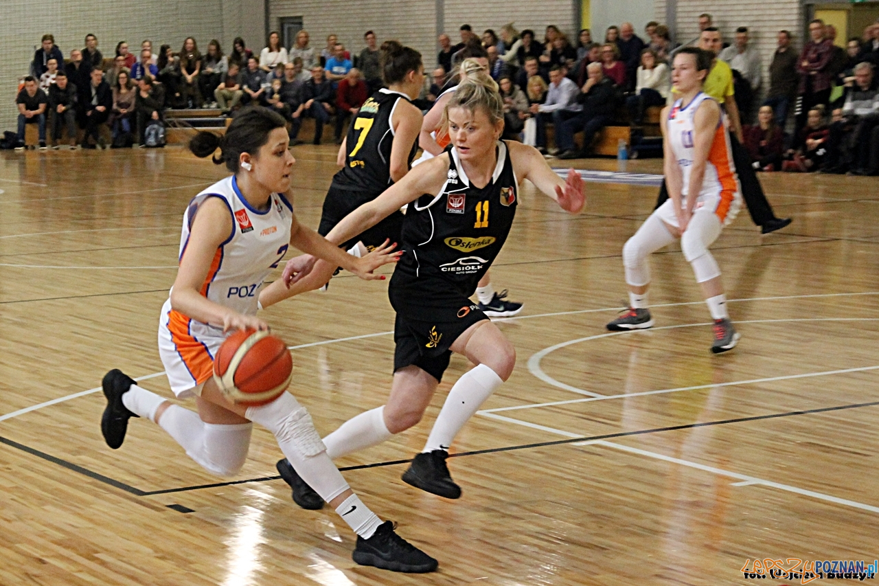 Pomarańczarnia MUKS Poznań - Tęcza Leszno (65:59) - Poznań 1  Foto: Budzik Poznański / Wojciech Budzik