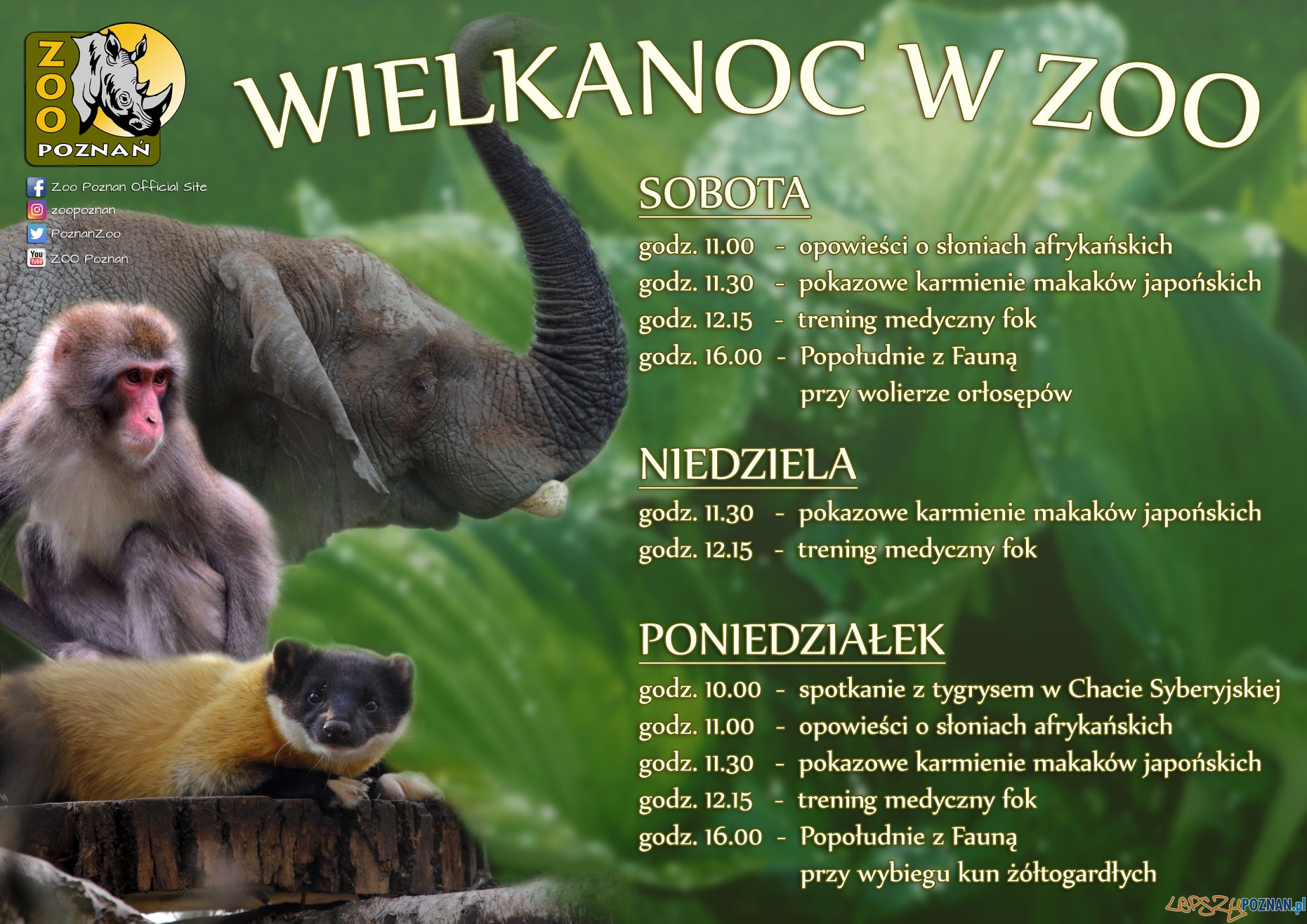 Wielkanoc w Zoo  Foto: materiały prasowe