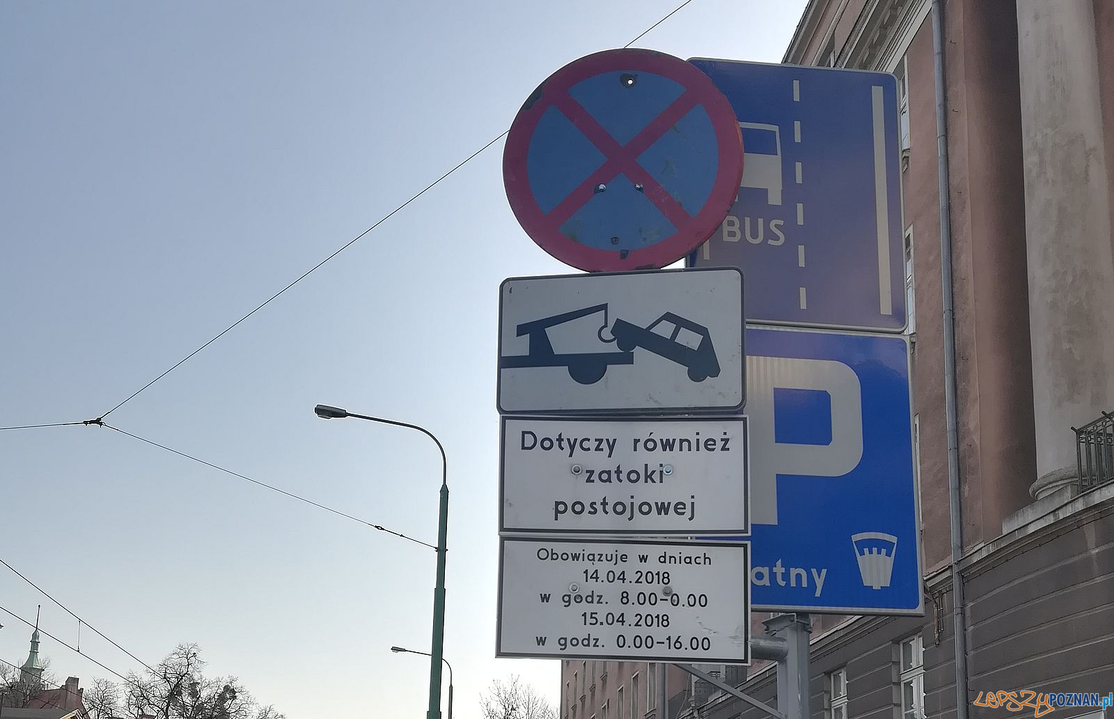 Grunwaldzka - zakaz parkowania  Foto: Straż Miejska 