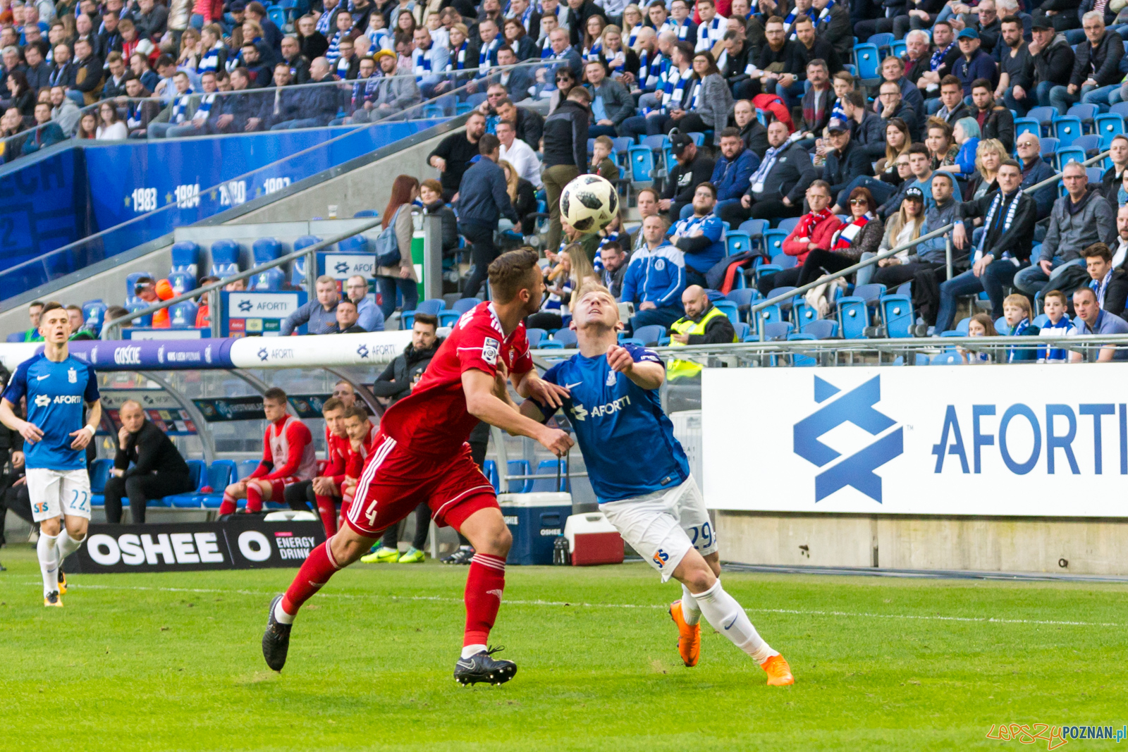 Lech Poznań - Górnik Zabrze  Foto: lepszyPOZNAN.pl/Piotr Rychter