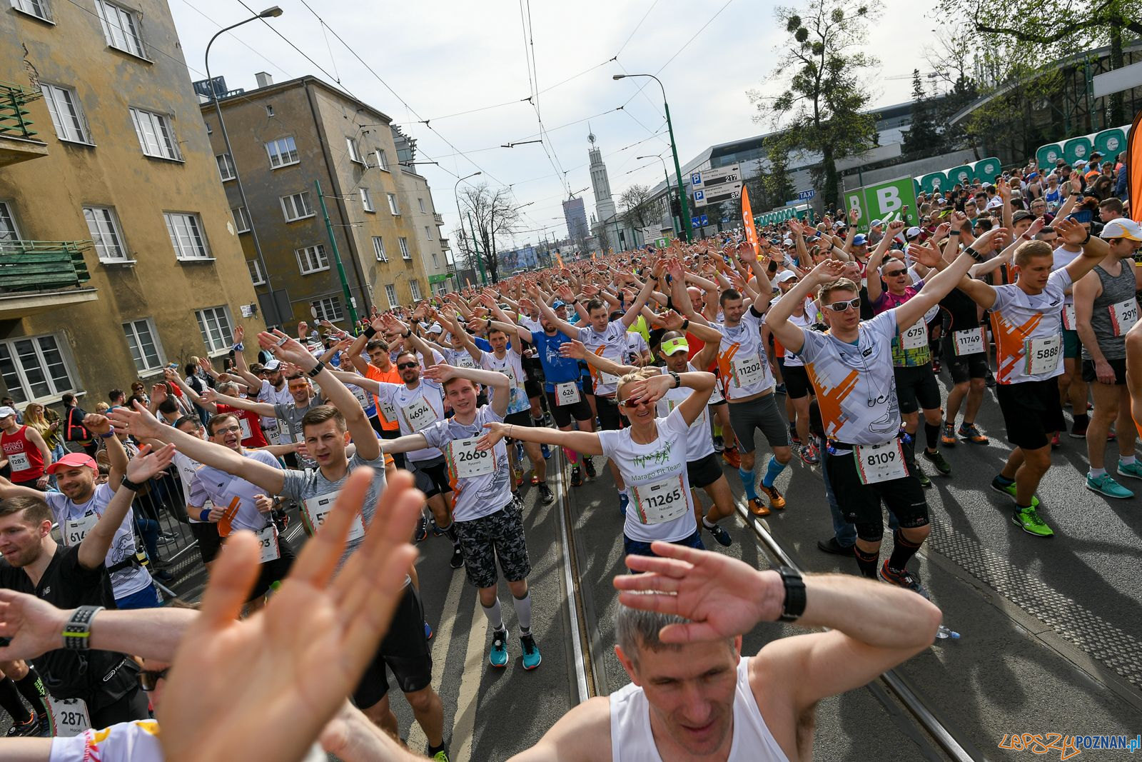 11 Poznań Półmaraton (6)  Foto: Jakub Kaczmarczyk / POSIR - materiały prasowe