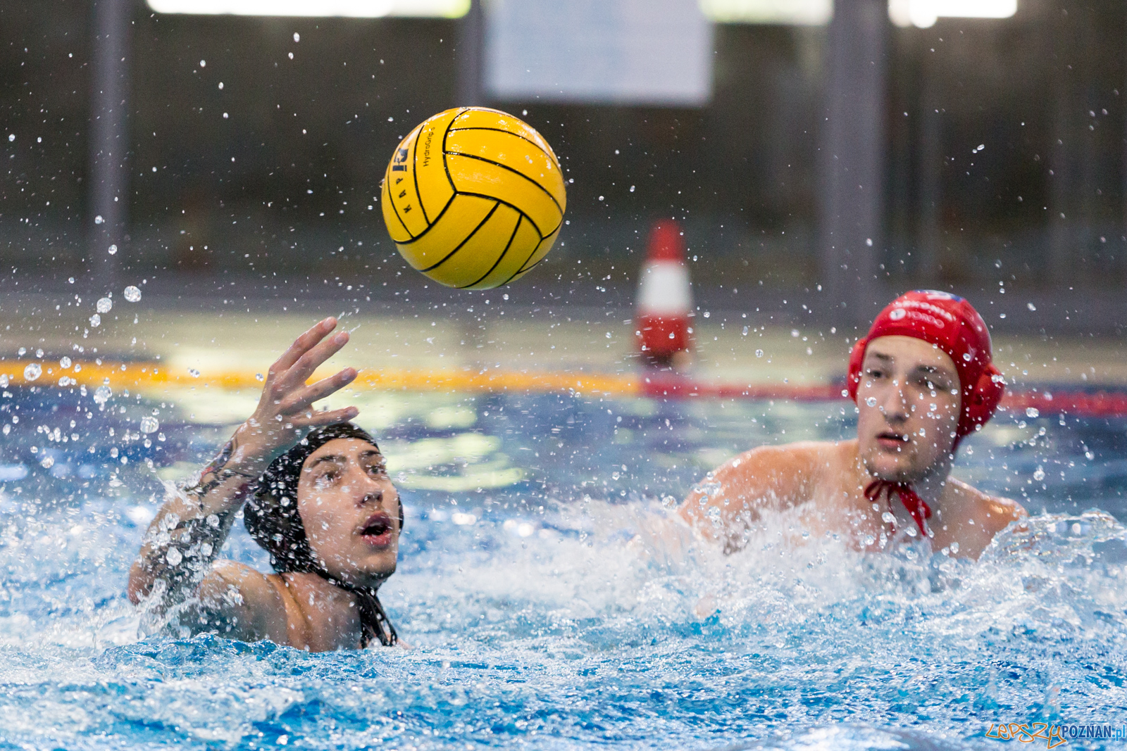 Waterpolo Poznań - Arkonia Szczecin  Foto: lepszyPOZNAN.pl/Piotr Rychter