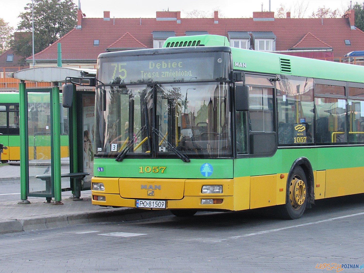 Autobus - linia 75 Górczyn  Foto: ZTM 