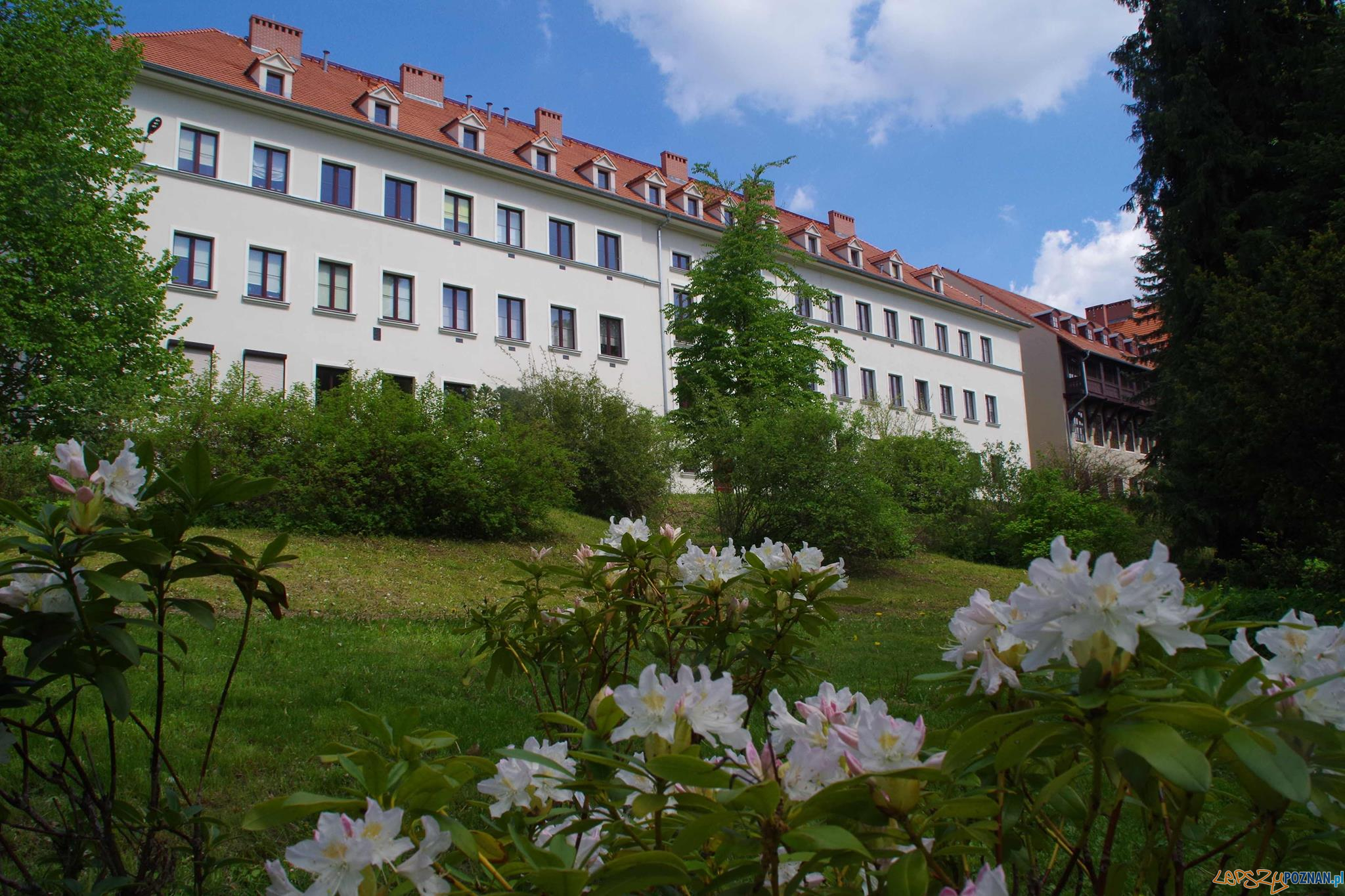 Niestachów i Golęcin - spacer z przewodnikiem  Foto: Grupa Przewodników PoPoznaniu