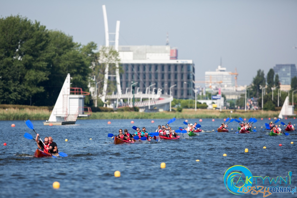 Poznan Canoe Challenge 2018  Foto: Tomasz Szwajkowki  / POSiR