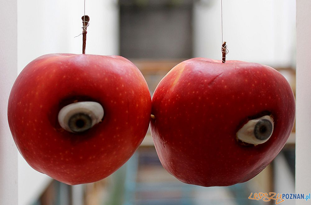 Agnieszka Grodzińska, Apple View, 2016  Foto: Galeria Rodriguez / materiały prasowe