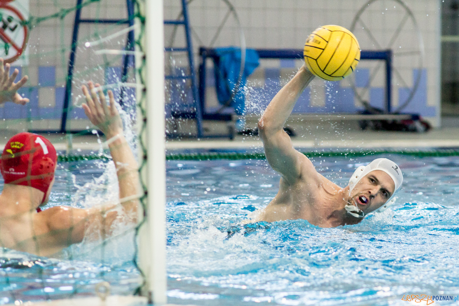 KS Waterpolo Poznań - Arkonia Szczecin  Foto: lepszyPOZNAN.pl / Ewelina Jaśkowiak