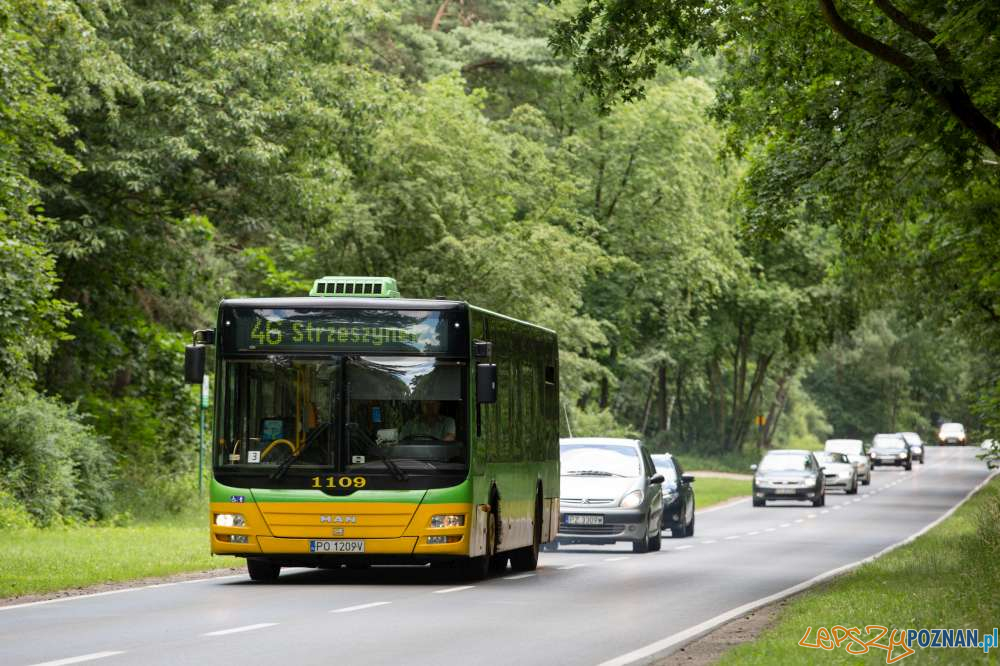 Autobus 45 Strzeszynek  Foto: Zarząd Transportu Miejskiego