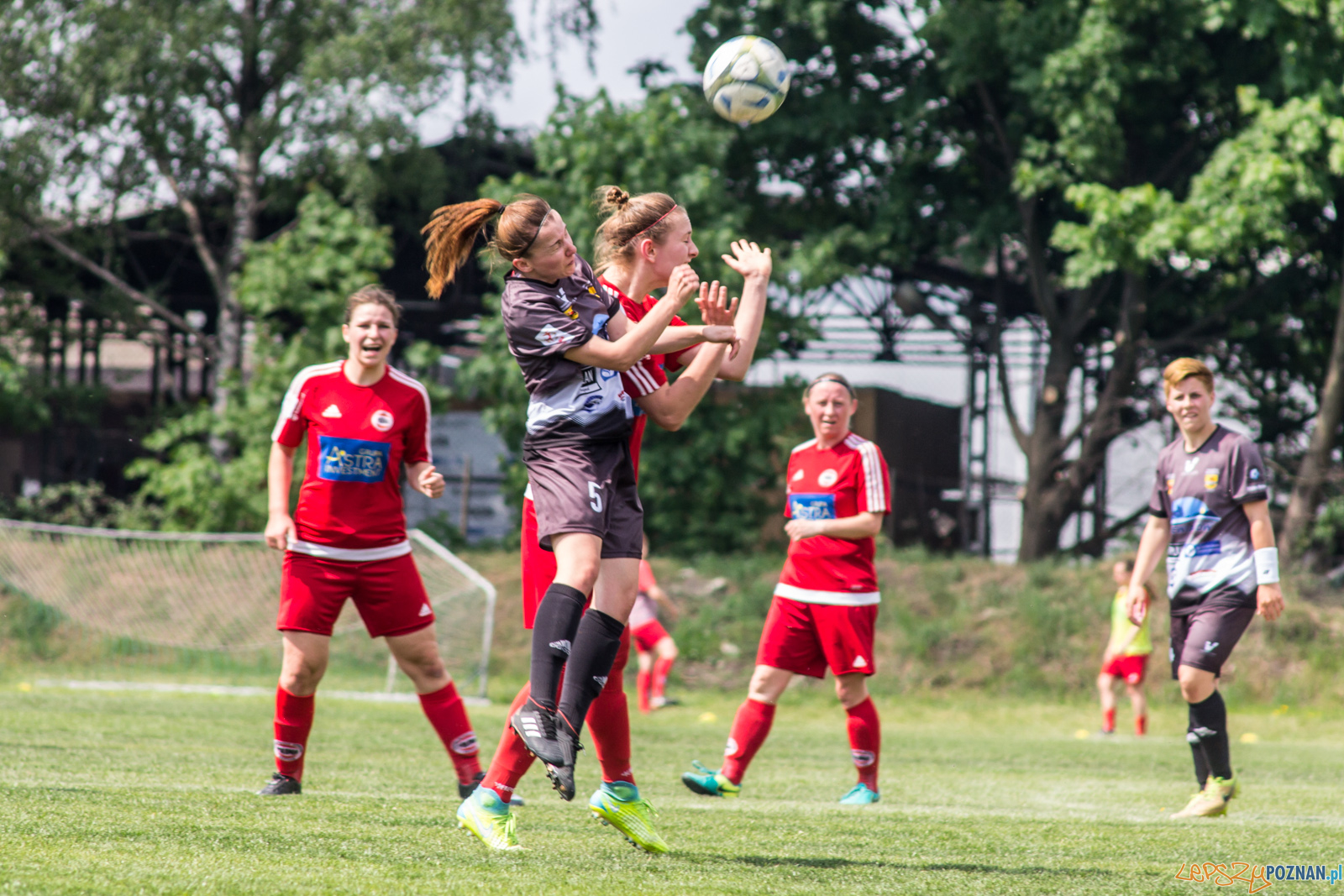 TS Polonia Poznań vs MUKS "Dargfil" Tomaszów Mazowiecki  Foto: lepszyPOZNAN.pl / Ewelina Jaśkowiak