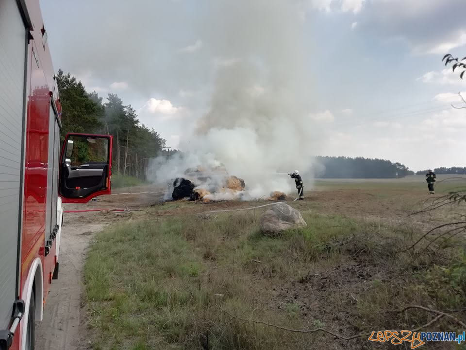 Płoną pola, płoną uprawy  Foto: OSP Skoki / dh Adam Świętek