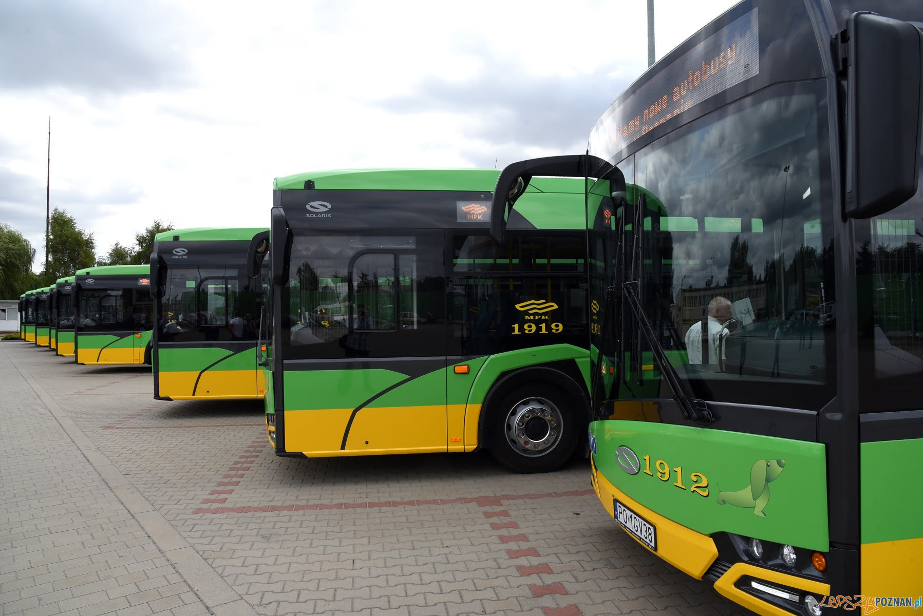Nowe autobusy na poznańskich ulicach  Foto: UMP