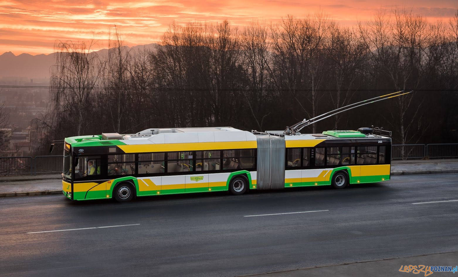 Trollino 18 - trojelbus Solarisa dla Rumuni  Foto: materiały prasowe