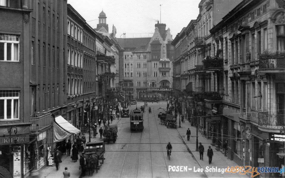 Gwarna  Foto: fotopolska