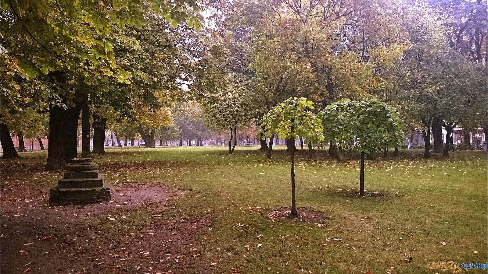 Park Stary Browar - im. Jana Henryka Dąbrowskiego  Foto: Tomasz Dworek