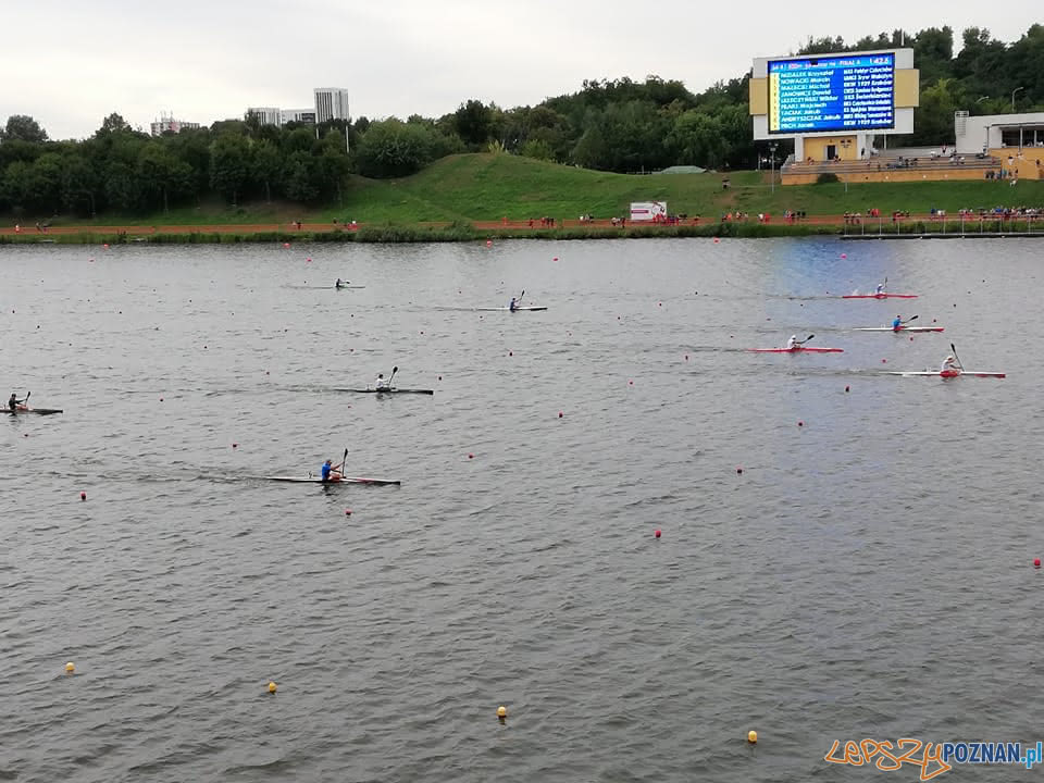 24. OOM w Kajakarstwie, Poznan 2018 3  Foto: POSiR