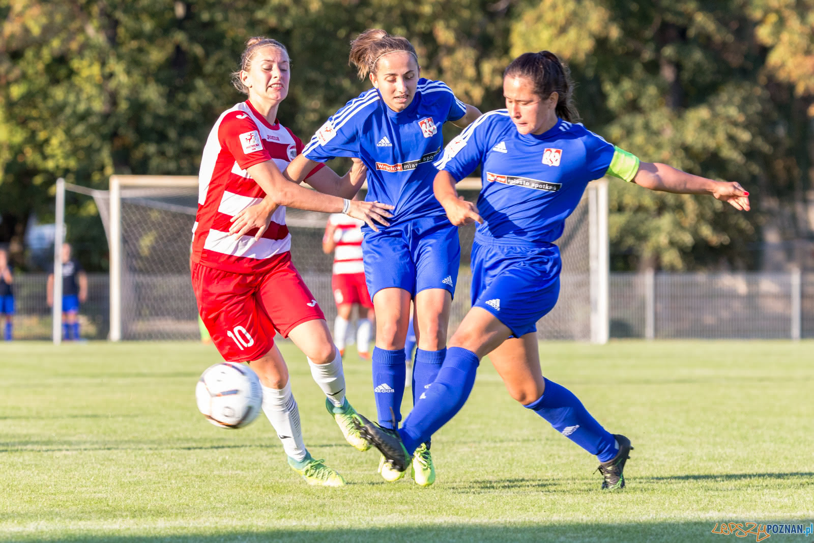 Ekstraliga: Polonia Poznań - AZS Wrocław 0:2 - Poznań 08.09.2  Foto: LepszyPOZNAN.pl / Paweł Rychter