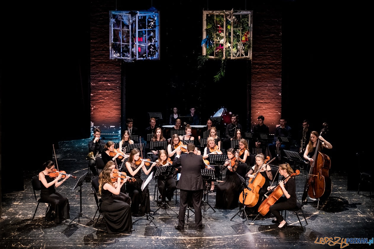 Orkiestra Antraktowa Teatru Polskiego w Poznaniu  Foto: Marek Zakrzewski / Teatr Polski 