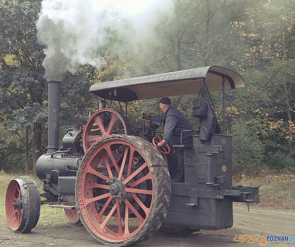 Lokomobil  Foto: Muzeum Narodowe Rolnictwa i Przemysłu Rolno-Spożywczego w Szreniawie