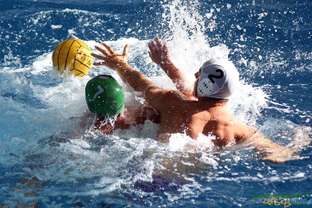 Waterpolo Poznań - Legia Warszawa  Foto: Elżbieta Skowron / sportowy-poznan.pl