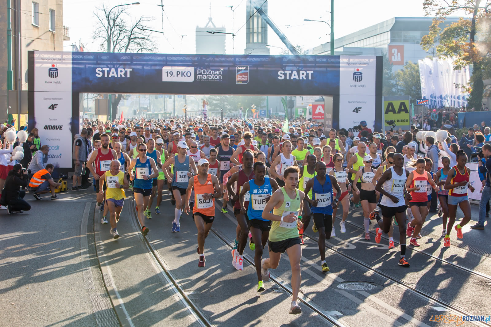 19. PKO Poznań Maraton  Foto: lepszyPOZNAN.pl/Piotr Rychter