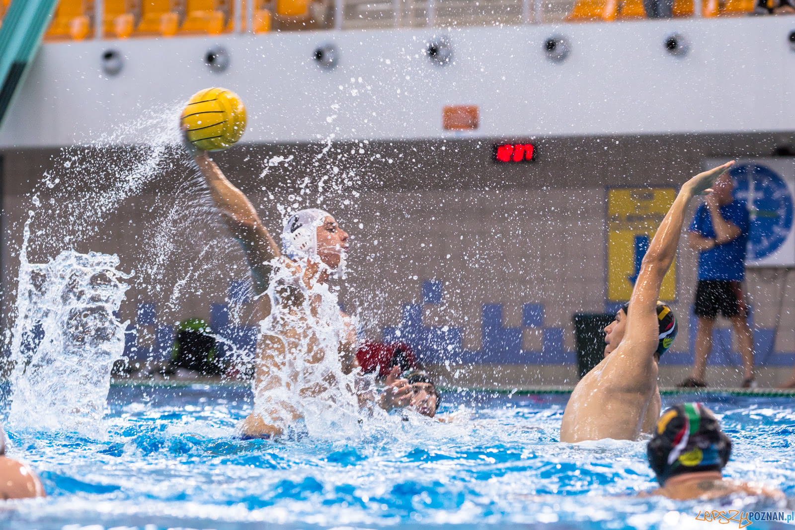 Waterpolo Poznań - Alfa Gorzów  Foto: lepszyPOZNAN.pl/Piotr Rychter