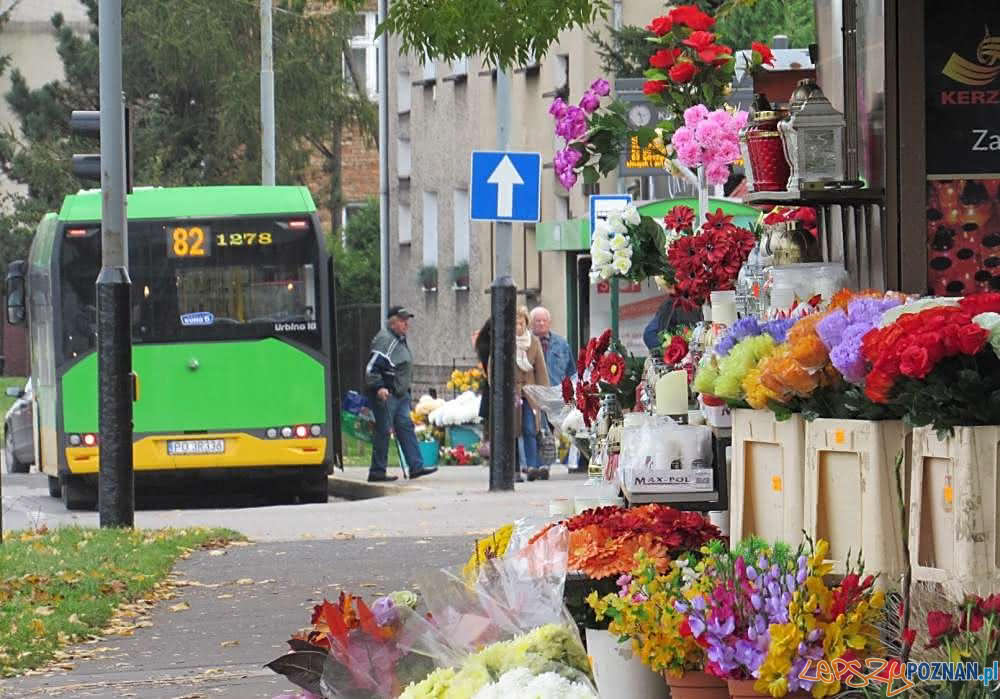 Autobus linii 82 przed cmentarzem gorczynskim  Foto: ZTM / materiały prasowe