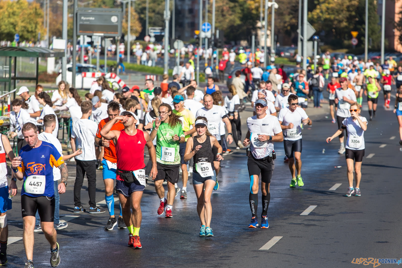 19. PKO Poznań Maraton  Foto: lepszyPOZNAN.pl/Piotr Rychter