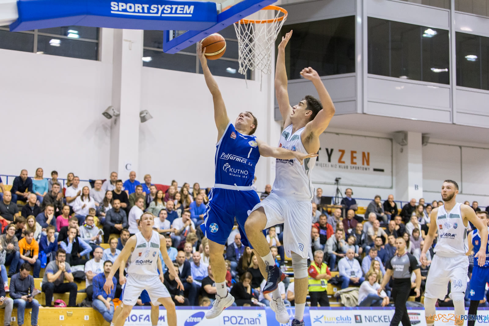 Biofarm Basket Poznań - Polfarmex Kutno 70:73 - Poznań 03.11.2  Foto: LepszyPOZNAN.pl / Paweł Rychter