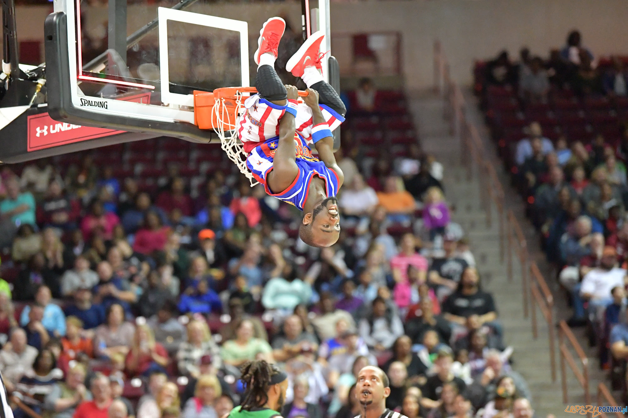 Harlem Globetrotters vs. Washington Generals, Columbia, S.C., 1-12-18  Foto: materiały prasowe / Brett Meister