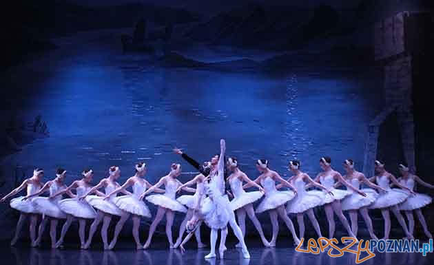 Moscow City Balet - Jezioro Łabędzie  Foto: materiały prasowe / makroconcert