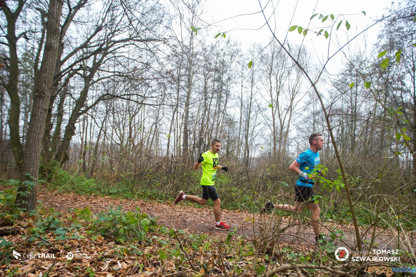 City Trail - bieanie nad Rusałką  Foto: Tomasz Szwejkowski / City Trail / materiały prasowe