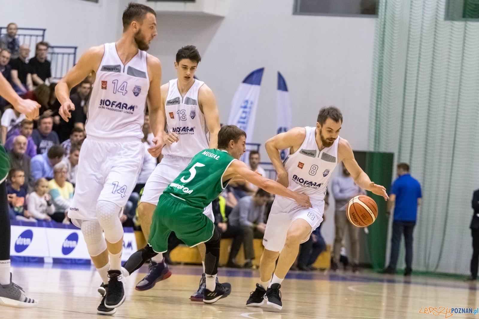 1 liga: Biofarm Basket Poznań - Śląsk Wrocław 70:79 - Pozna  Foto: LepszyPOZNAN.pl / Paweł Rychter