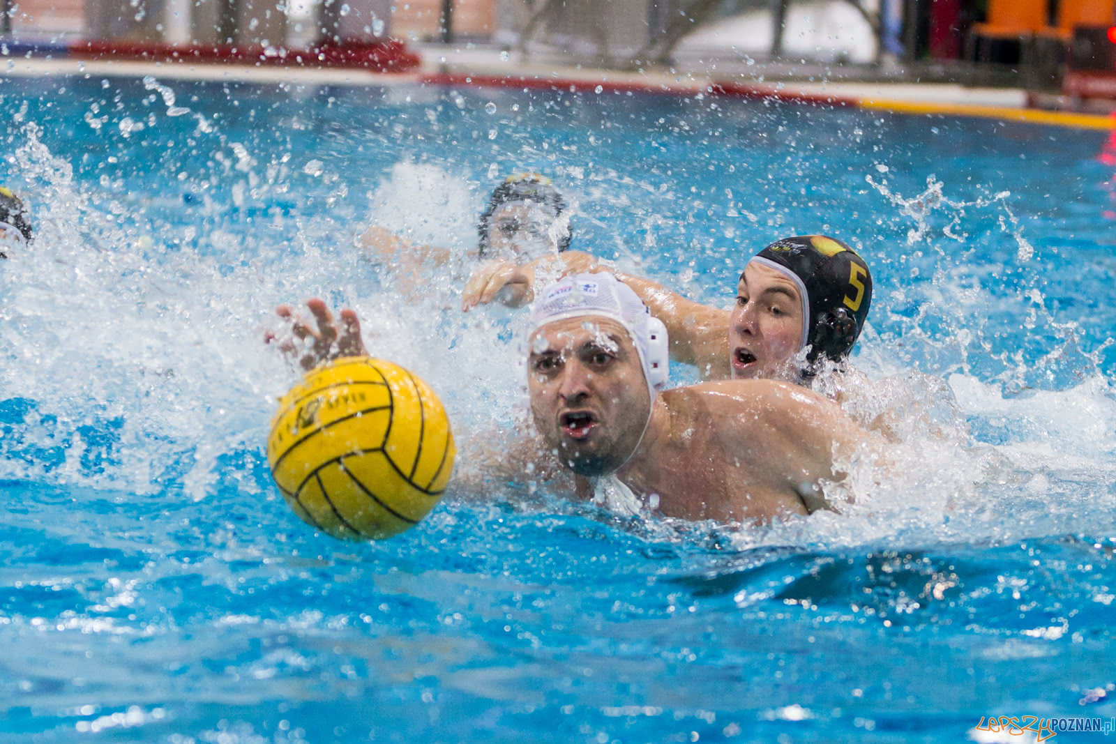 Malta Waterpolo Cup  Foto: lepszyPOZNAN.pl/Piotr Rychter