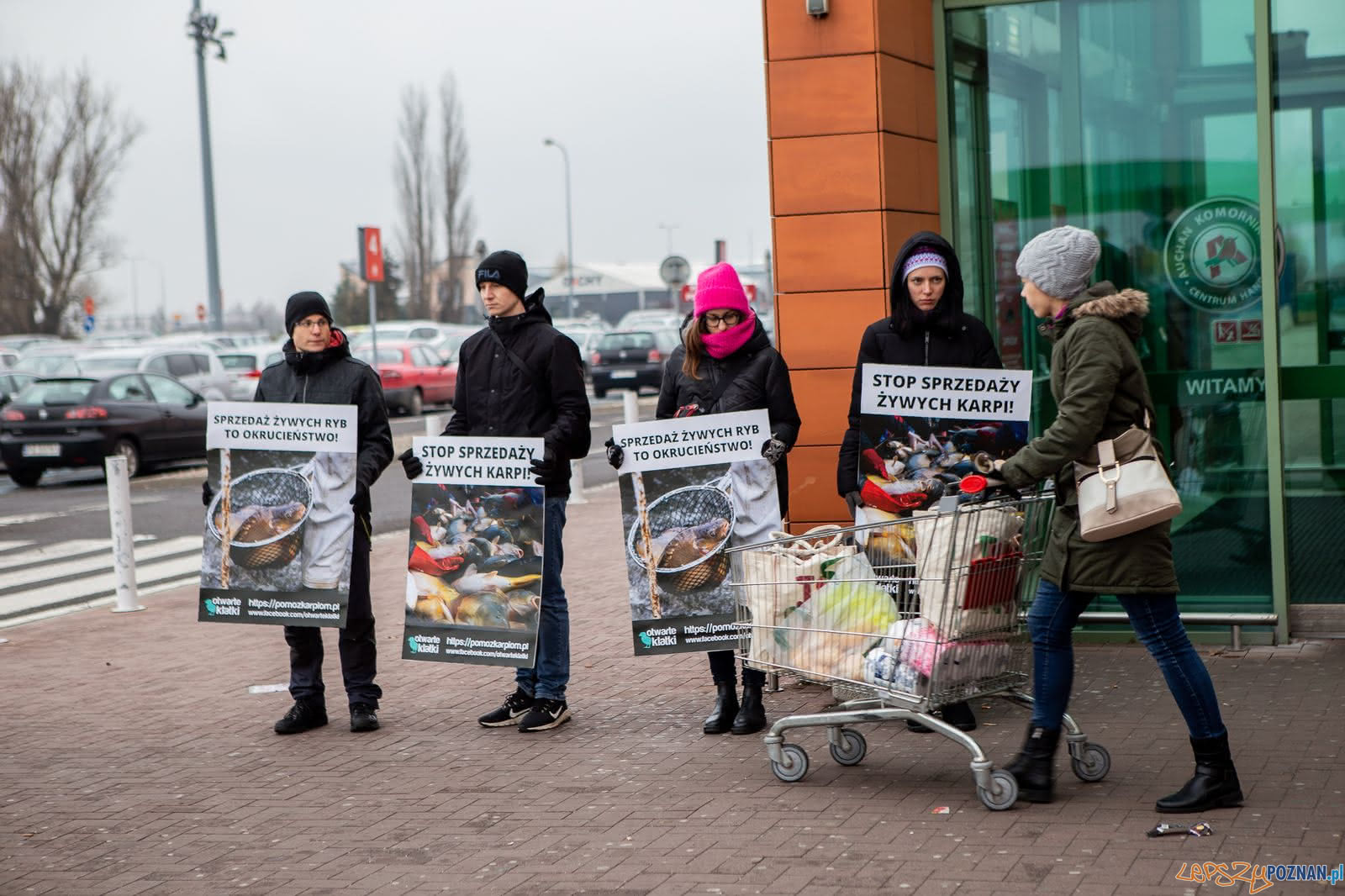 Ptotest przeciw sprzedaży żywych karpii  Foto: Otwarte Klatki / materiały prasowe