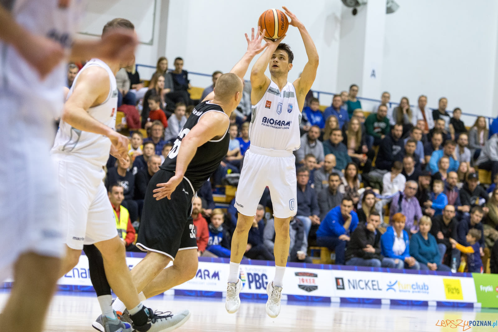 1 liga: Biofarm Basket Poznań - AZS AGH Kraków 77:67 - Poznań  Foto: LepszyPOZNAN.pl / Paweł Rychter