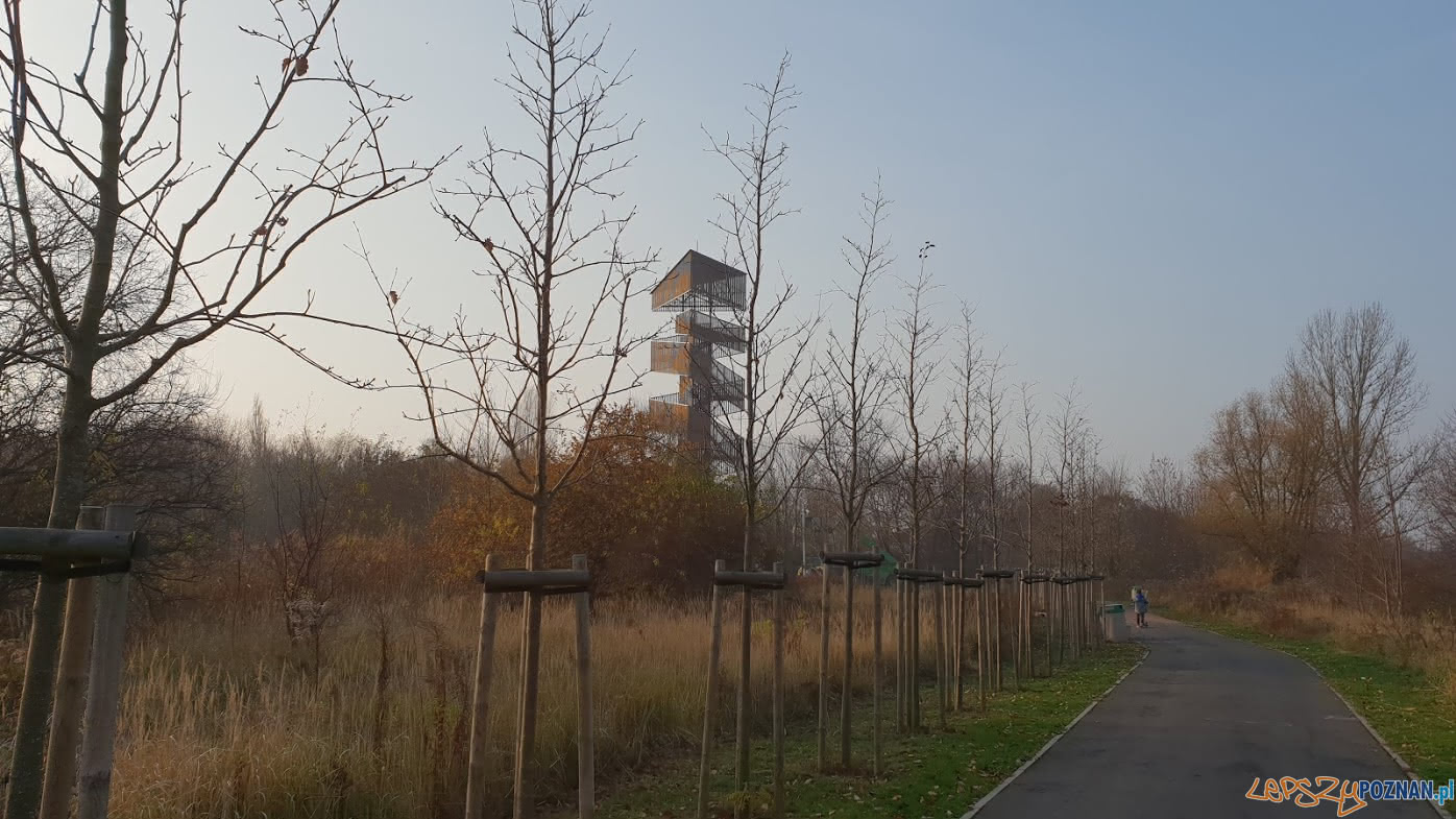 Wieża widokowa na Szachtach  Foto: lepszyPOZNAN.pl / tab