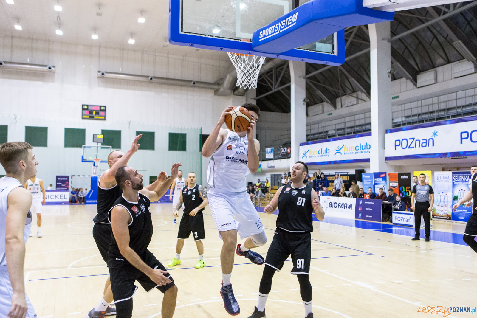 1 liga: Biofarm Basket Poznań - AZS AGH Kraków 77:67 - Poznań  Foto: LepszyPOZNAN.pl / Paweł Rychter