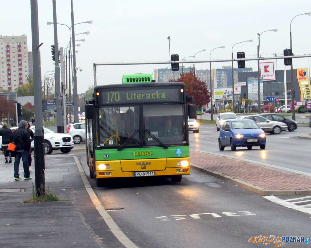 Autobusc linia nr 170  Foto: ZTM