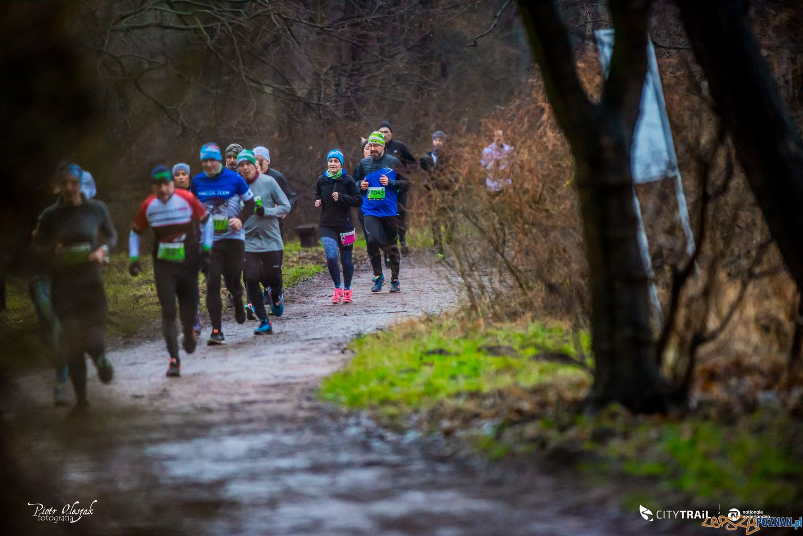 City Trail - bieganie nad Rusałką  Foto: Piotr Oleszak / materiały prasowe