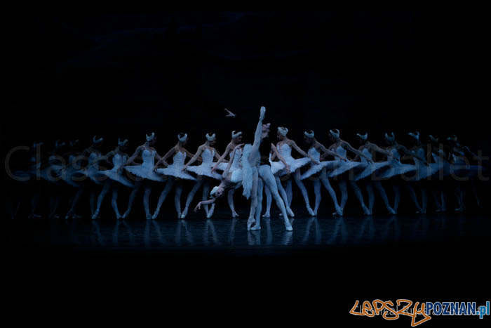 Jezioro Łabędzie  Foto: rusballet.com