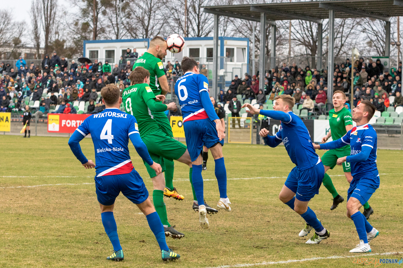 Warta Poznań - Podbeskidzie Bielsko-Biała  Foto: lepszyPOZNAN.pl/Piotr Rychter