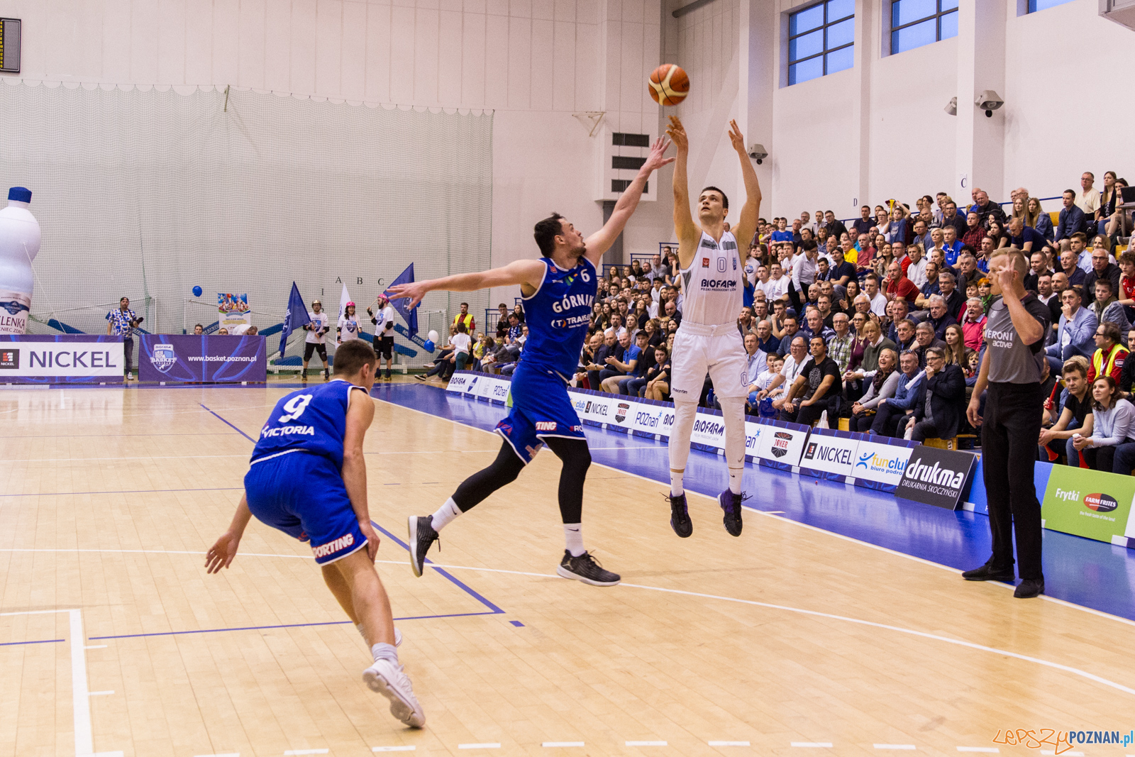 Biofarm Basket Poznań - Górnik Trans.eu Wałbrzych 79:55 - Poz  Foto: LepszyPOZNAN.pl / Paweł Rychter