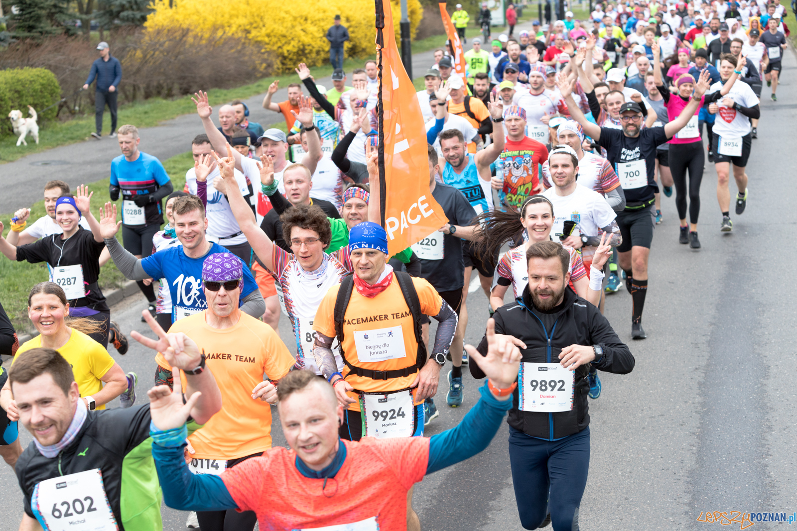 12. PKO Poznań Półmaraton  Foto: lepszyPOZNAN.pl/Piotr Rychter