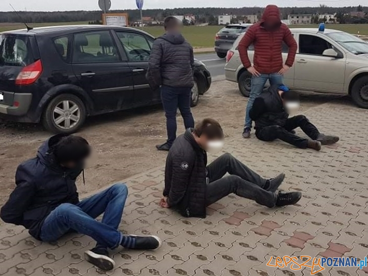 Złodzieje zatrzymani przez Policję  Foto: materiały prasowe / KWP Poznań