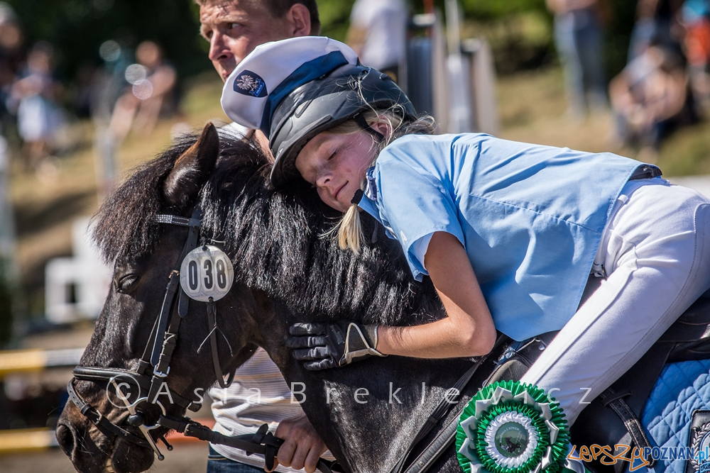 Pony Games  Foto: materiały prasowe