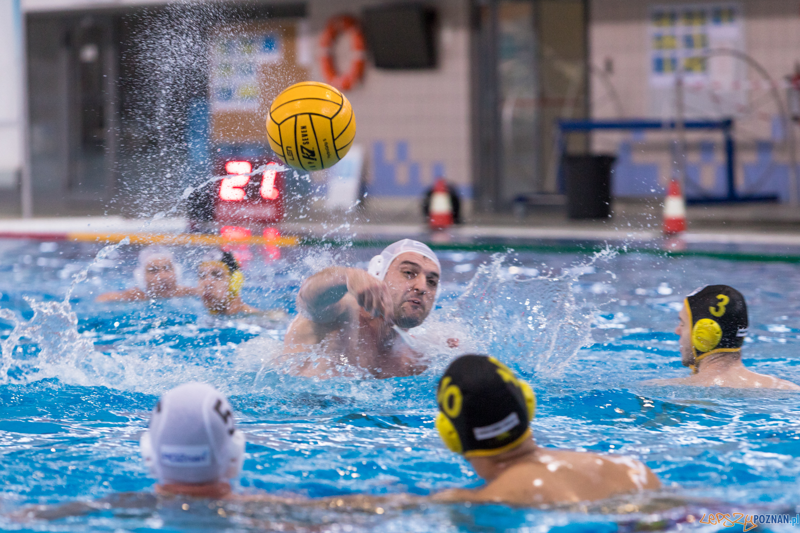 KS Waterpolo Poznań – ŁUKOSZ WTS Polonia Bytom  Foto: lepszyPOZNAN.pl/Piotr Rychter