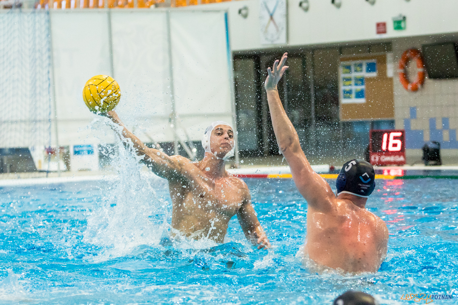 KS Waterpolo Poznań – OCMER ŁSTW Łódź  Foto: lepszyPOZNAN.pl/Piotr Rychter