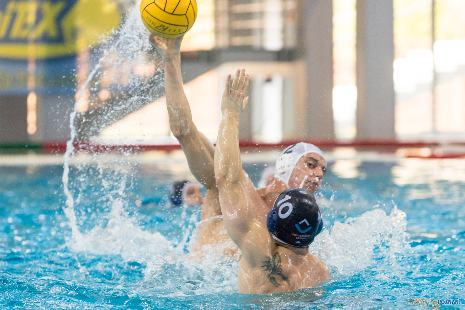 KS Waterpolo Poznań – OCMER ŁSTW Łódź  Foto: lepszyPOZNAN.pl/Piotr Rychter